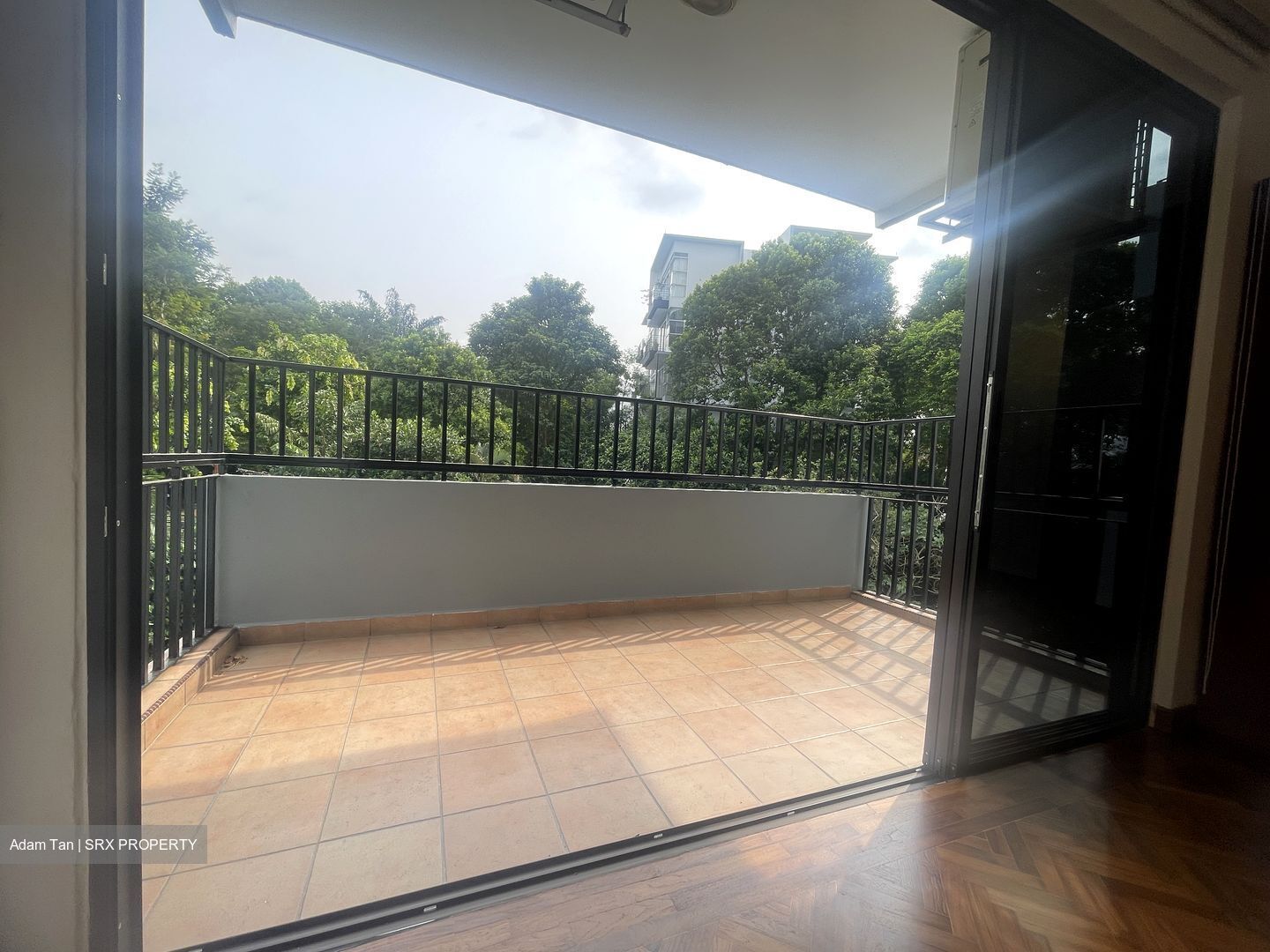 Goldhill Towers (D11), Apartment #599651151
